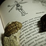 本の上に「文鎮」代わりに置いた三葉虫の化石